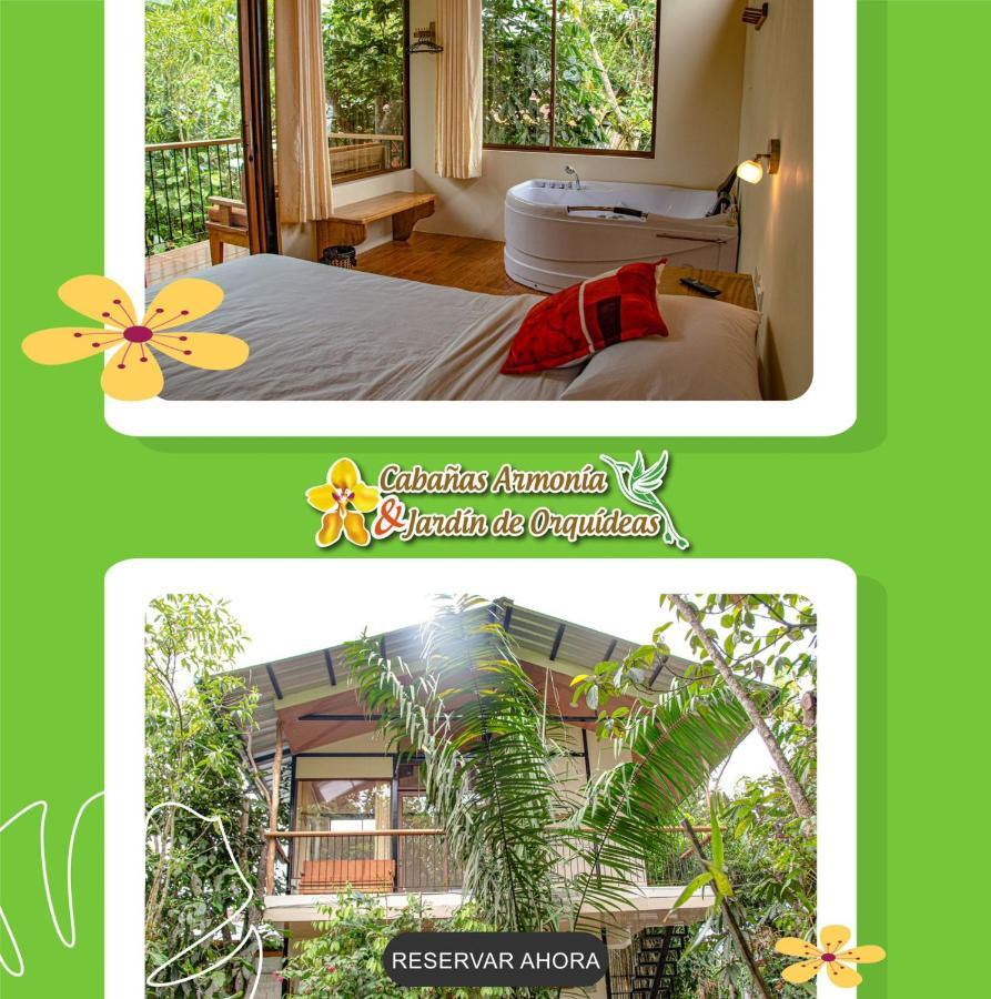 Cabanas Armonia Y Jardin De Orquideas Mindo Ngoại thất bức ảnh